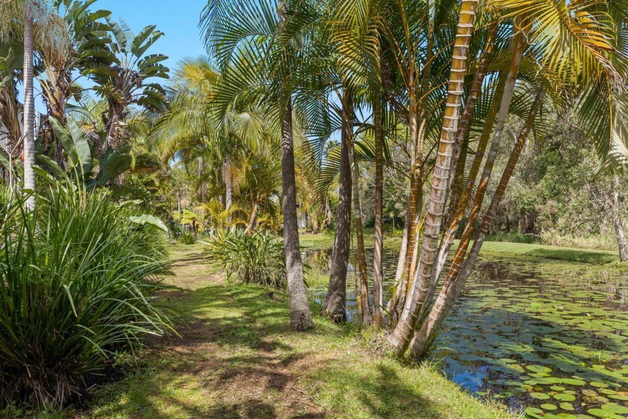 Treetops Lakeside Apartments Byron Bay Zewnętrze zdjęcie